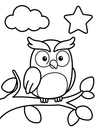 Little Owl on a Branch para colorir Desenho de Little Owl on a Branch para colorir e imprimir grátis